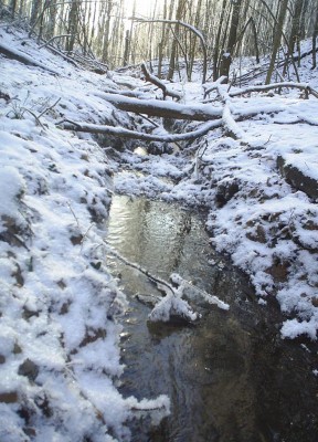 PIC_0006.jpg