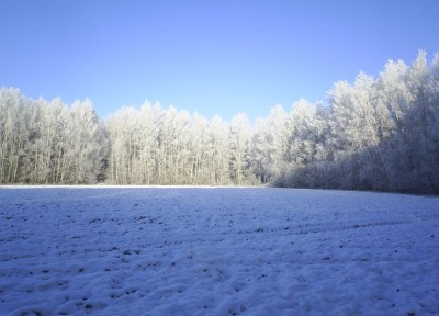 PIC_0010.JPG