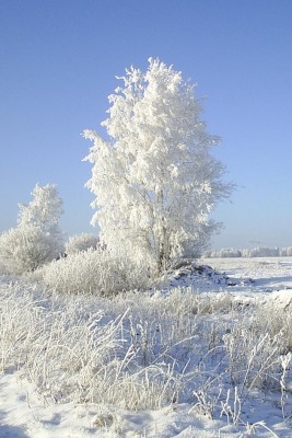 PIC_0016.JPG