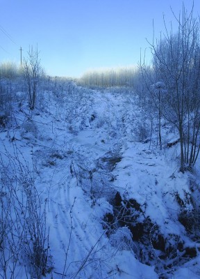 PIC_0022.jpg