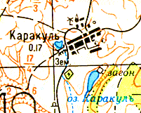 Каракуль.png