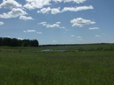 покатушка 02.jpg