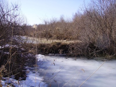PICT0346.JPG