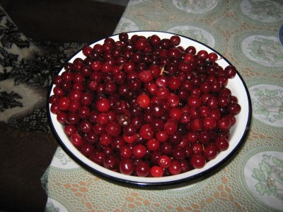 IMG_1148.JPG