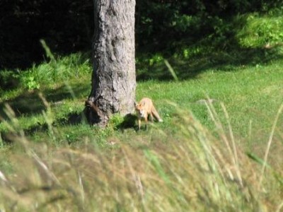Picture 076_.jpg