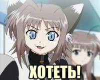 1207239173779.jpg