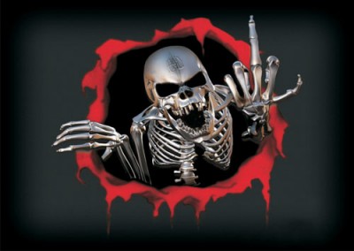 skull.jpg