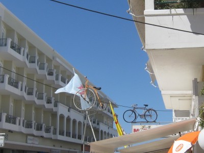 IMG_2864.jpg
