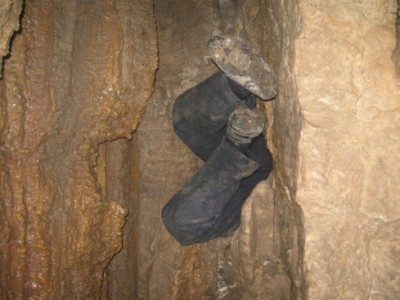 нога мини.jpg