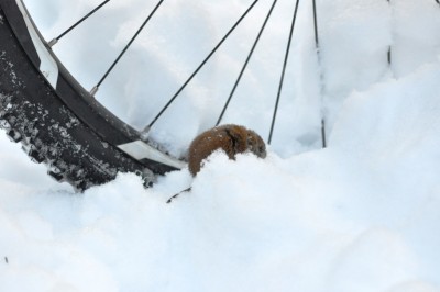 DSC_0066__.JPG