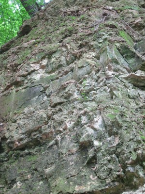 IMG_0283.jpg