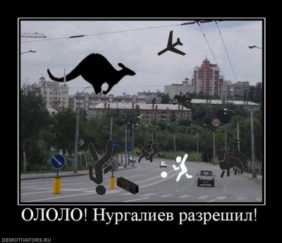 995978_ololo-nurgaliev-razreshil.jpg