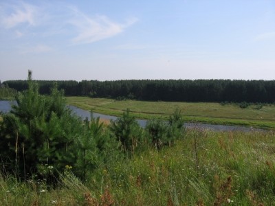 IMG_6142.JPG