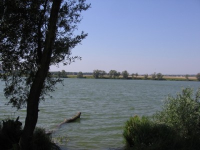 IMG_6145.JPG