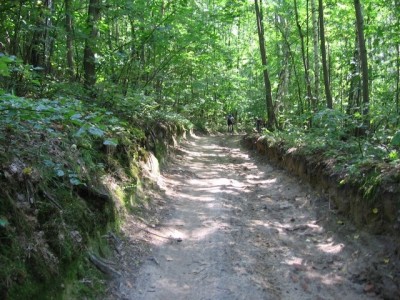 IMG_6150.JPG