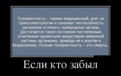 Толерантность.jpg